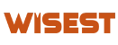 wisest_yazilim_logo