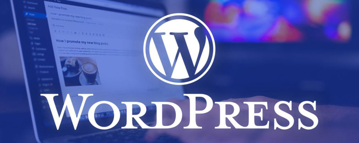 Wordpress Ajansı 1