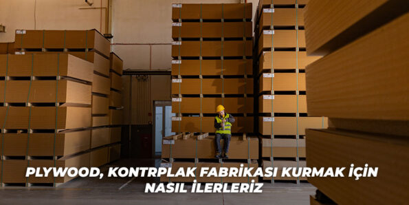 Plywood Kontrplak Fabrikası Kurmak görseli