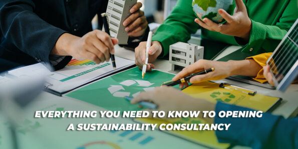 Opening A Sustainability Consultancy görseli