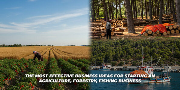 The Most Effective Business İdeaş For Starting An Ağrıculture Forestry Fishing Business görseli