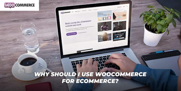 Why Should I Use Woocommerce for Ecommerce image