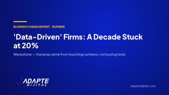 'Data-Driven' Firms Sat at 20% for a Decade — Adapte Dijital cover image