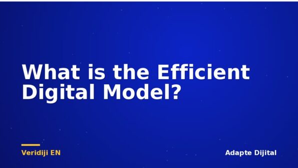 What is the Efficient Digital Model?