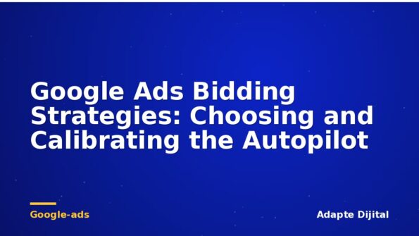 Google Ads Bidding Strategies: Choosing and Calibrating the Autopilot