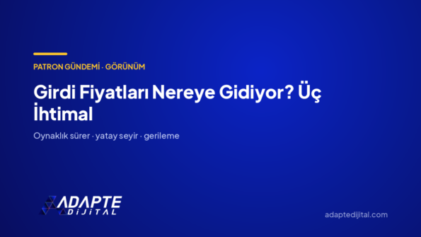 Girdi Fiyatları Nereye Gidiyor? Üç İhtimal — Adapte Dijital kapak görseli
