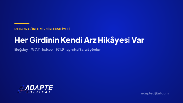 Her Girdinin Kendi Arz Hikâyesi Var — Adapte Dijital kapak görseli