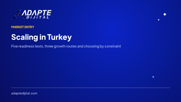 Scaling in Turkey: Catalogue, Channel or Region? — Adapte Dijital cover image