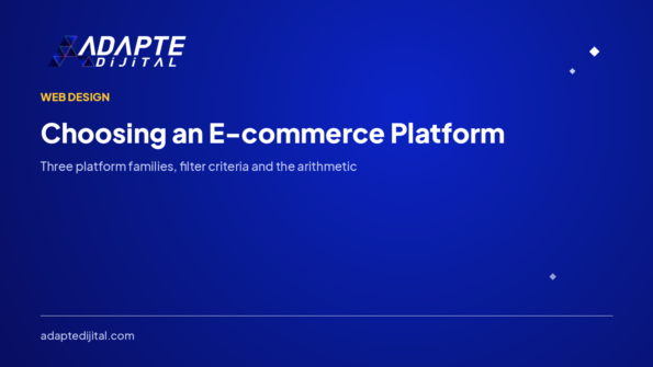 Choosing an E-commerce Platform — Adapte Dijital cover image