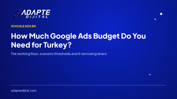 How Much Google Ads Budget Do You Need for Turkey?