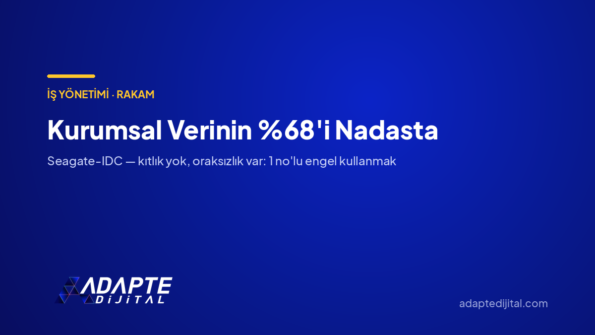 Kurumsal Verinin 'i Nadasta — Adapte Dijital kapak görseli