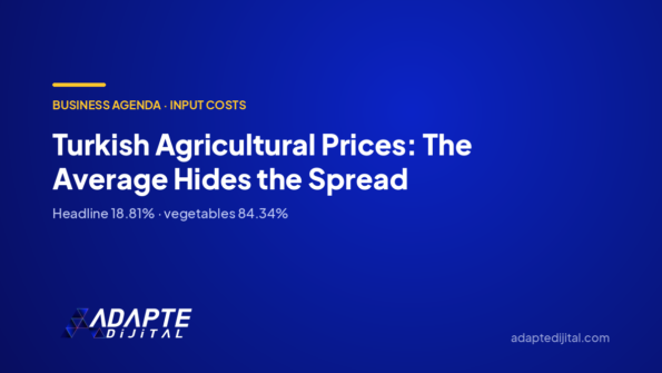 Turkish Agricultural Prices: The Average Hides the Spread — Adapte Dijital cover image