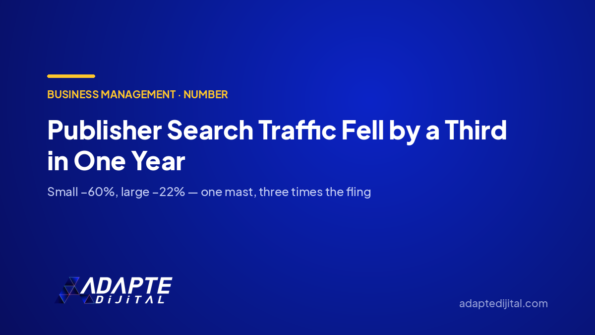 Publisher Search Traffic Fell by a Third in One Year — Adapte Dijital cover image