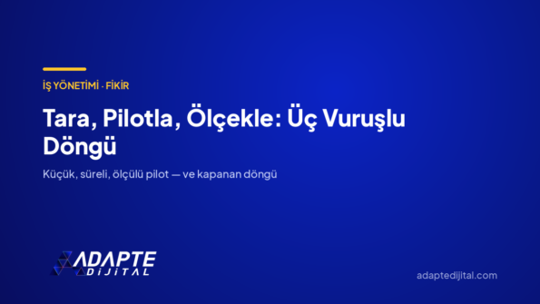 Tara, Pilotla, Ölçekle: Üç Vuruşlu Döngü — Adapte Dijital kapak görseli