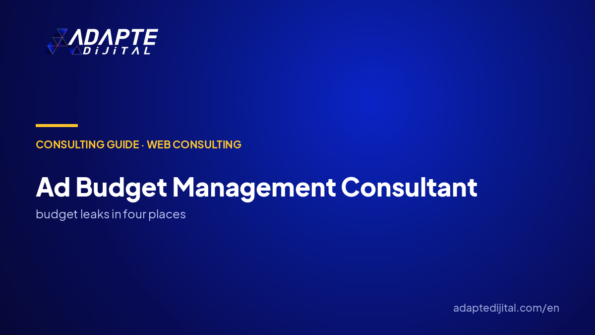 How to Choose an Ad Budget Management Consultant