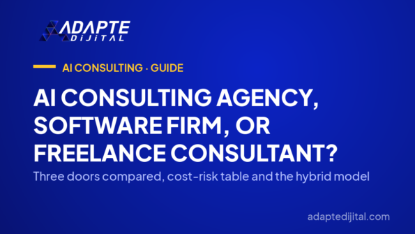 AI Consulting Agency, Software Firm, or Freelance Consultant? — Three doors compared, cost-risk table and the hybrid model