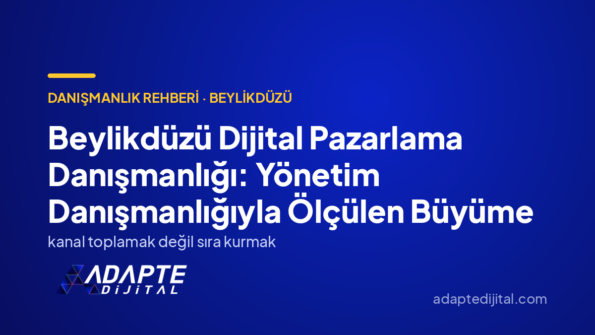 Beylikdüzü Dijital Pazarlama Danışmanlığı: Yönetim Danışmanlığıyla Ölçülen Büyüme