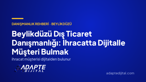 Beylikdüzü Dış Ticaret Danışmanlığı: İhracatta Dijitalle Müşteri Bulmak
