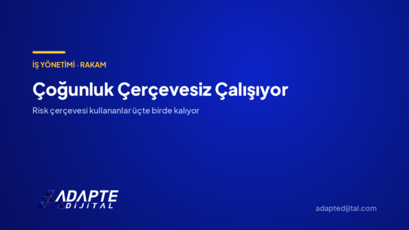 Çoğunluk Çerçevesiz Çalışıyor — Adapte Dijital kapak görseli