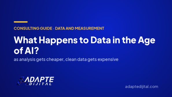 What Happens to Data in the Age of AI? — Adapte Dijital cover image