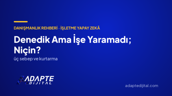 Denedik Ama İşe Yaramadı; Niçin? — Adapte Dijital kapak görseli