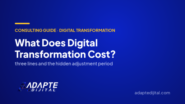What Does Digital Transformation Cost? — Adapte Dijital cover image