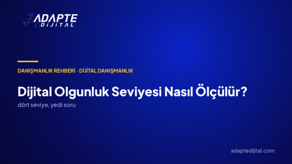Şirketimin dijital olgunluğu ne seviyede; nereden başlamam gerekiyor?