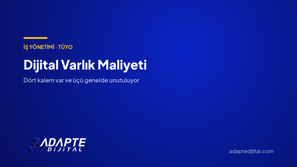Dijital Varlık Maliyeti — Adapte Dijital kapak görseli