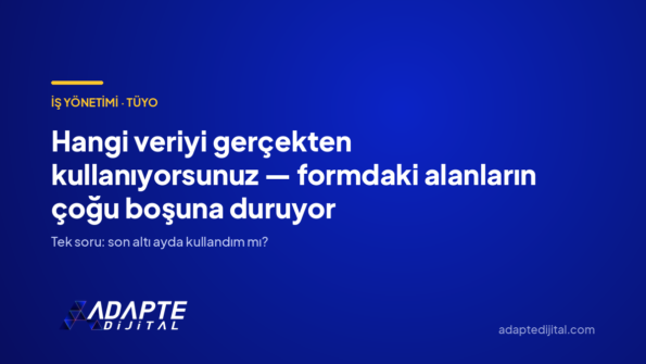 Hangi veriyi gerçekten kullanıyorsunuz — formdaki alanların çoğu boşuna duruyor — Adapte Dijital kapak görseli