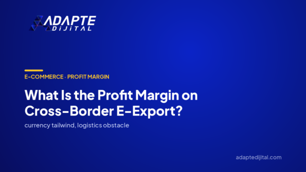 What Is the Profit Margin on Cross-Border E-Export? — Adapte Dijital cover image