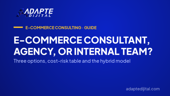 E-Commerce Consultant, Agency, or Internal Team? — Three options, cost-risk table and the hybrid model