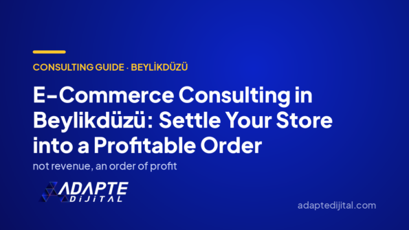 E-Commerce Consulting in Beylikdüzü: Settle Your Store into a Profitable Order
