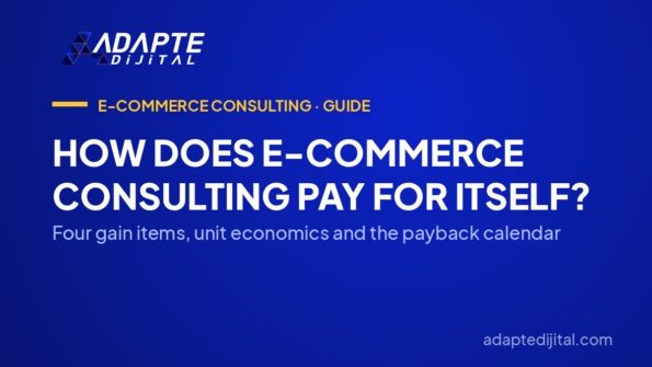 How Does E-Commerce Consulting Pay for Itself? — Four gain items, unit economics and the payback calendar