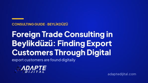 Foreign Trade Consulting in Beylikdüzü: Finding Export Customers Through Digital