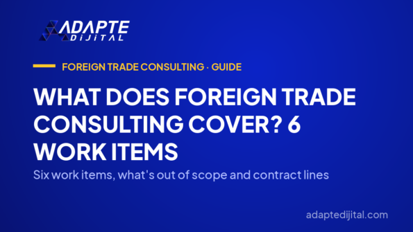 What Does Foreign Trade Consulting Cover? 6 Work Items — Six work items, what's out of scope and contract lines