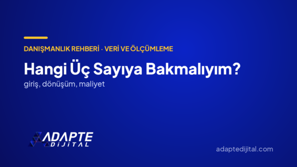 Hangi Üç Sayıya Bakmalıyım? — Adapte Dijital kapak görseli