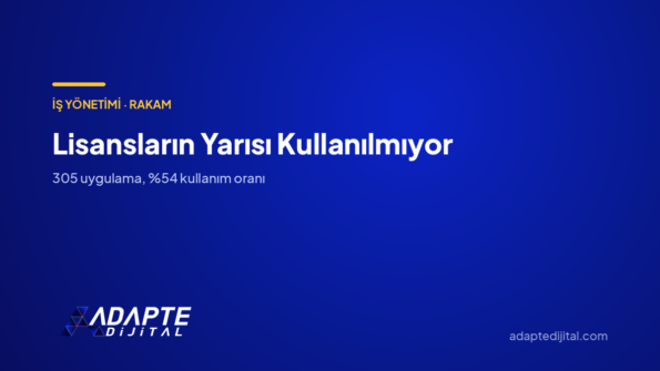Lisansların Yarısı Kullanılmıyor — Adapte Dijital kapak görseli