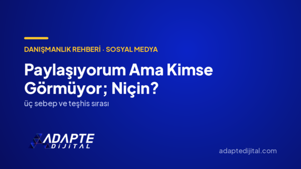 Paylaşıyorum Ama Kimse Görmüyor; Niçin? — Adapte Dijital kapak görseli