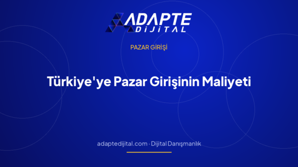 Türkiye'ye Pazar Girişinin Maliyeti: Gerçek Yapı — Adapte Dijital kapak görseli
