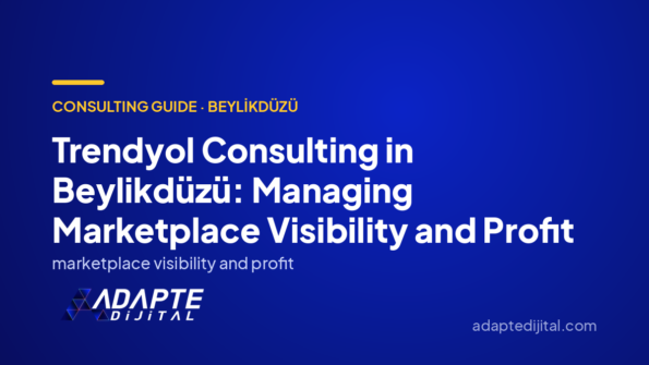 Trendyol Consulting in Beylikdüzü: Managing Marketplace Visibility and Profit
