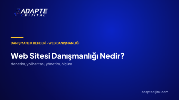 Web Sitesi Danışmanlığı Nedir? Neye Para Ödüyorsunuz?