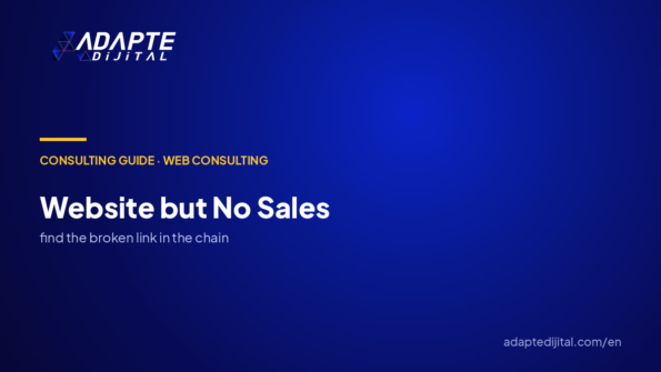 Website but No Sales: Why, and How It Gets Fixed