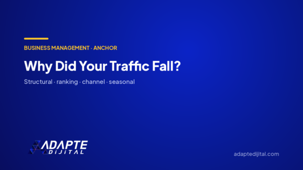 Why Did Your Traffic Fall? — Adapte Dijital cover image