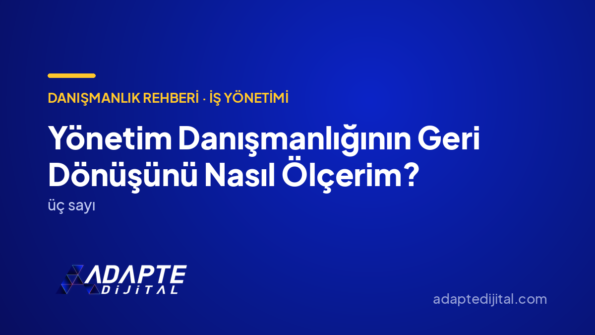 Yönetim Danışmanlığının Geri Dönüşünü Nasıl Ölçerim? — Adapte Dijital kapak görseli