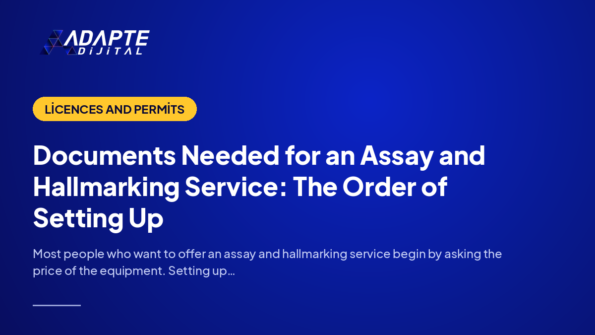 Documents Needed for an Assay and Hallmarking Service: The Order of Setting Up — Adapte Dijital cover image