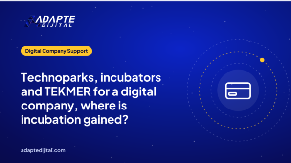 Technoparks, incubators and TEKMER for a digital company, where is incubation gained?