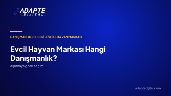 Evcil Hayvan Markası İçin Hangi Danışmanlık Önce Alınmalı? Aşamaya Göre Seçim Rehberi