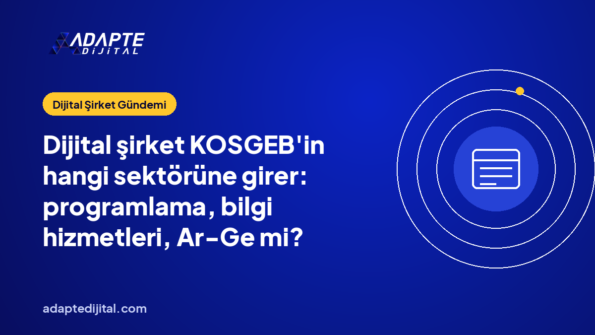 Dijital şirket KOSGEB'in hangi sektörüne girer: programlama, bilgi hizmetleri, Ar-Ge mi?