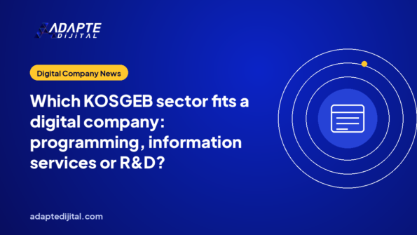 Which KOSGEB sector fits a digital company: programming, information services or R&D?