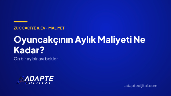Oyuncakçının Aylık Maliyeti Ne Kadar? — Adapte Dijital kapak görseli